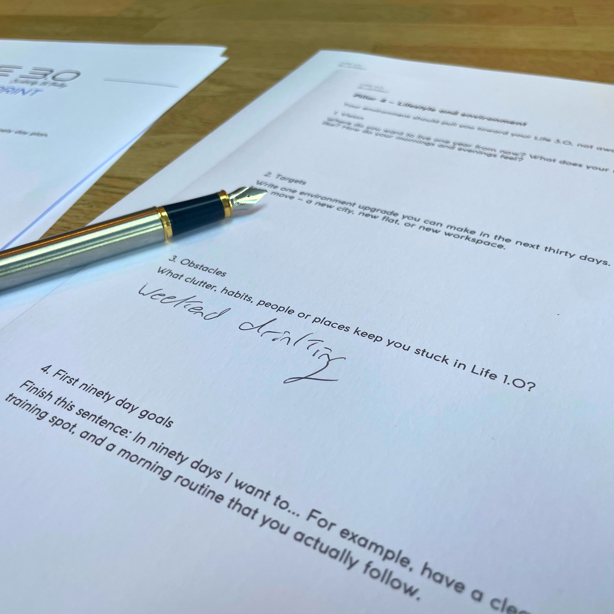 Life 3.0 Blueprint by Ed Pauley (Printable PDF + Digital Canva File) INSTANT DOWNLOAD